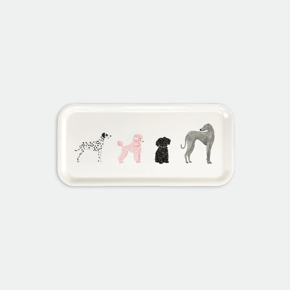 all-the-ways-to-say-dogue-plateau-caf-bouleau-chiens image 1