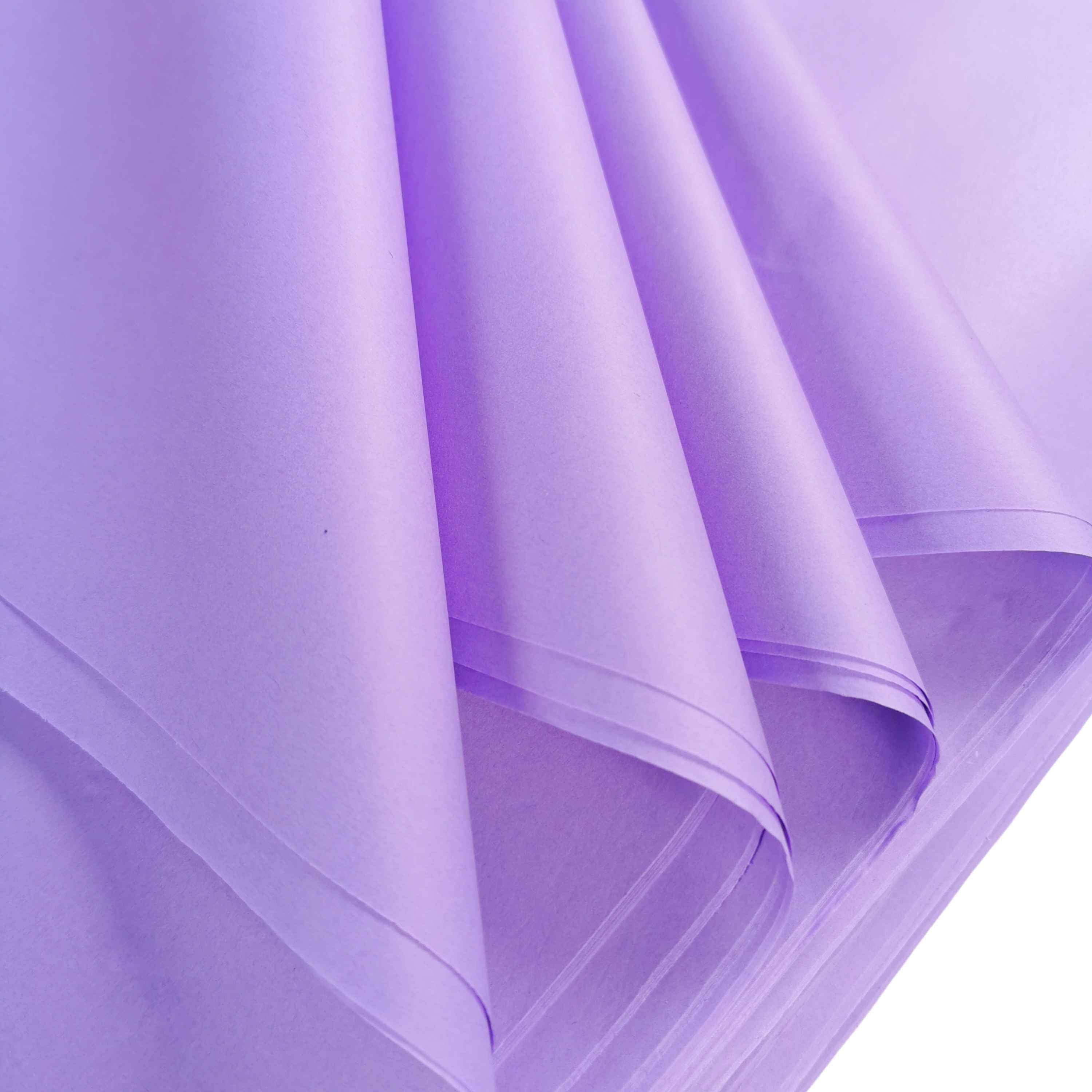 carnival-papers-tissue-papier-de-soie-lilas-violet-clair-10-feuilles image 1
