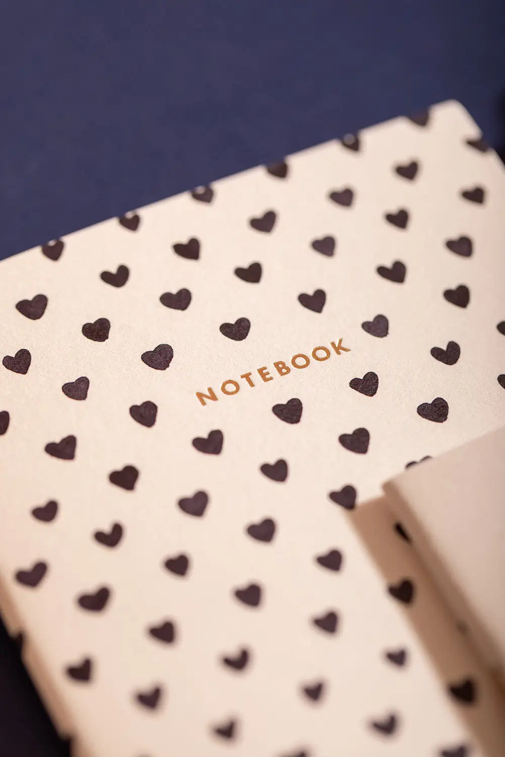 all-the-ways-to-say-dalmatian-duo-carnets-poche-a6-dor image 4