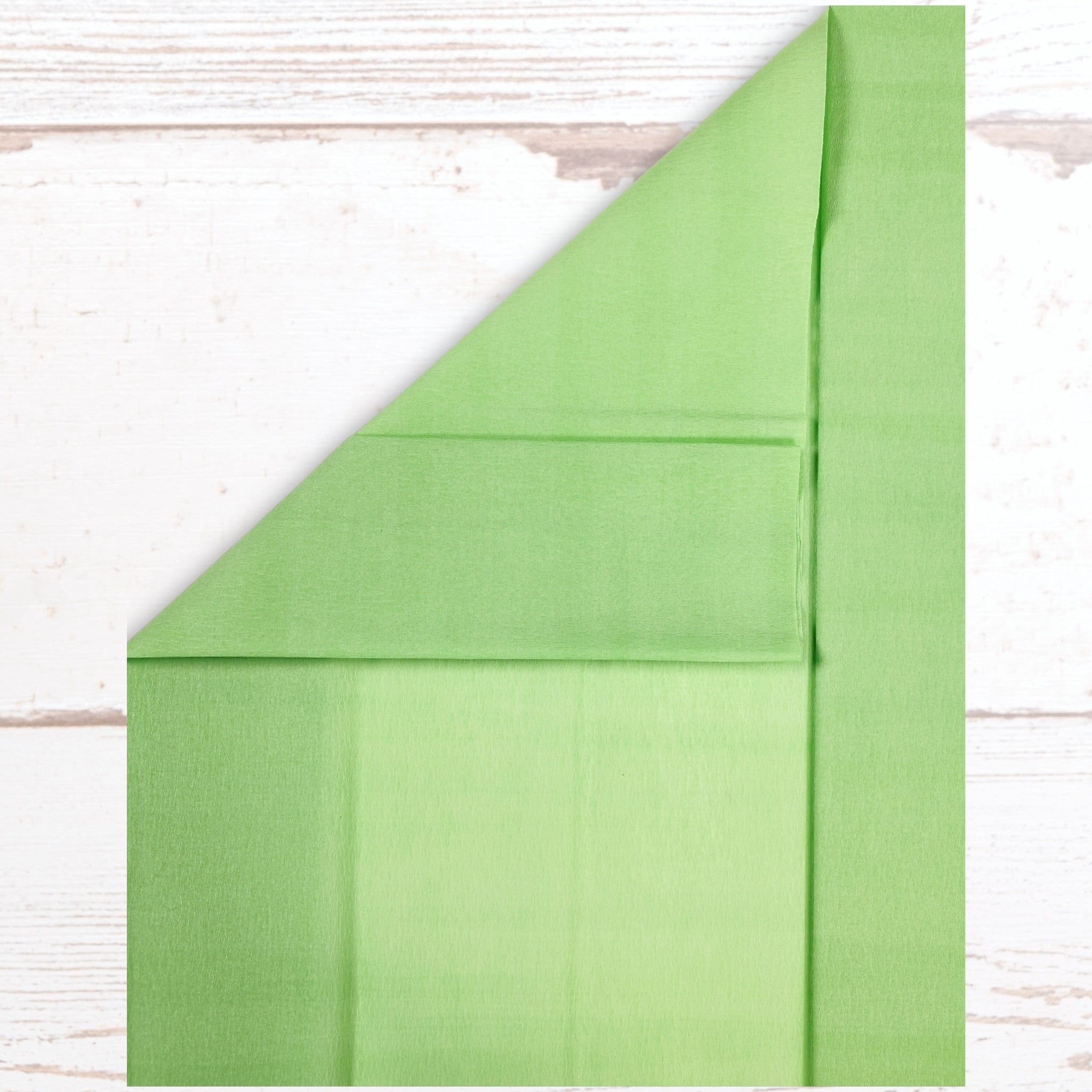 carnival-papers-crepe-paper-papier-cr-pon-vert-clair-50cm-x-3m image 7