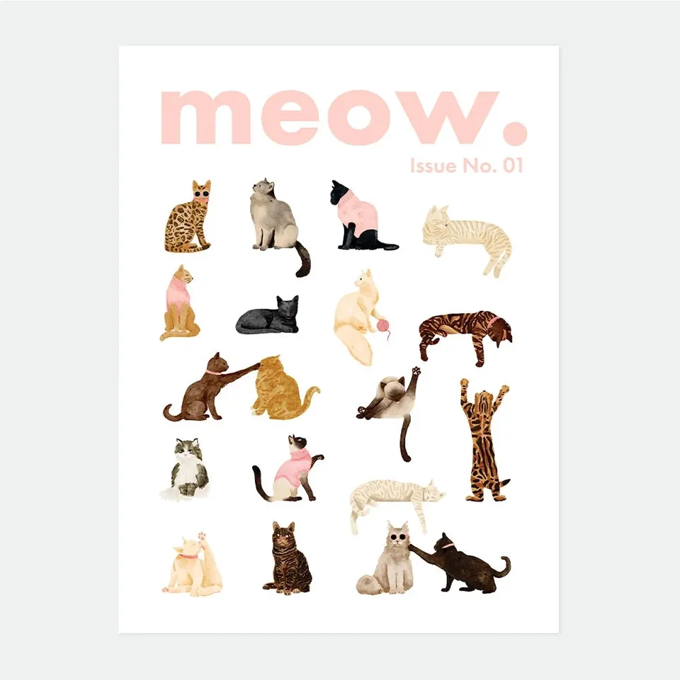 all-the-ways-to-say-meow-issue-affiche-50x70-cm-chats-roses image 1