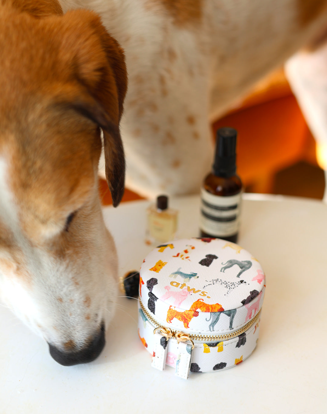 all-the-ways-to-say-dogs-bo-te-bijoux-cuir-chiens-ronde image 5