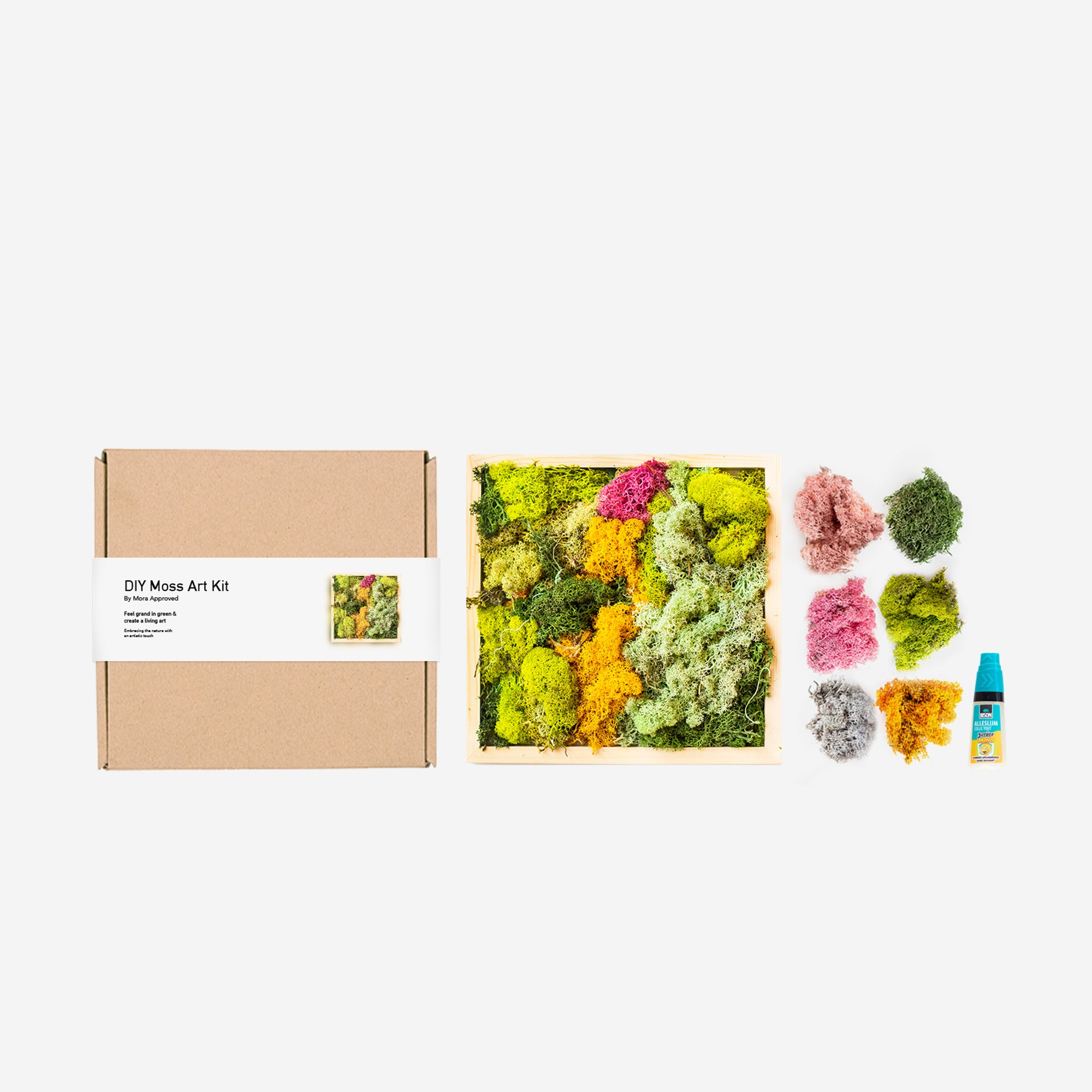 mora-approved-moss-art-kit-tableau-mousse-vegetale-20x20-cm image 1