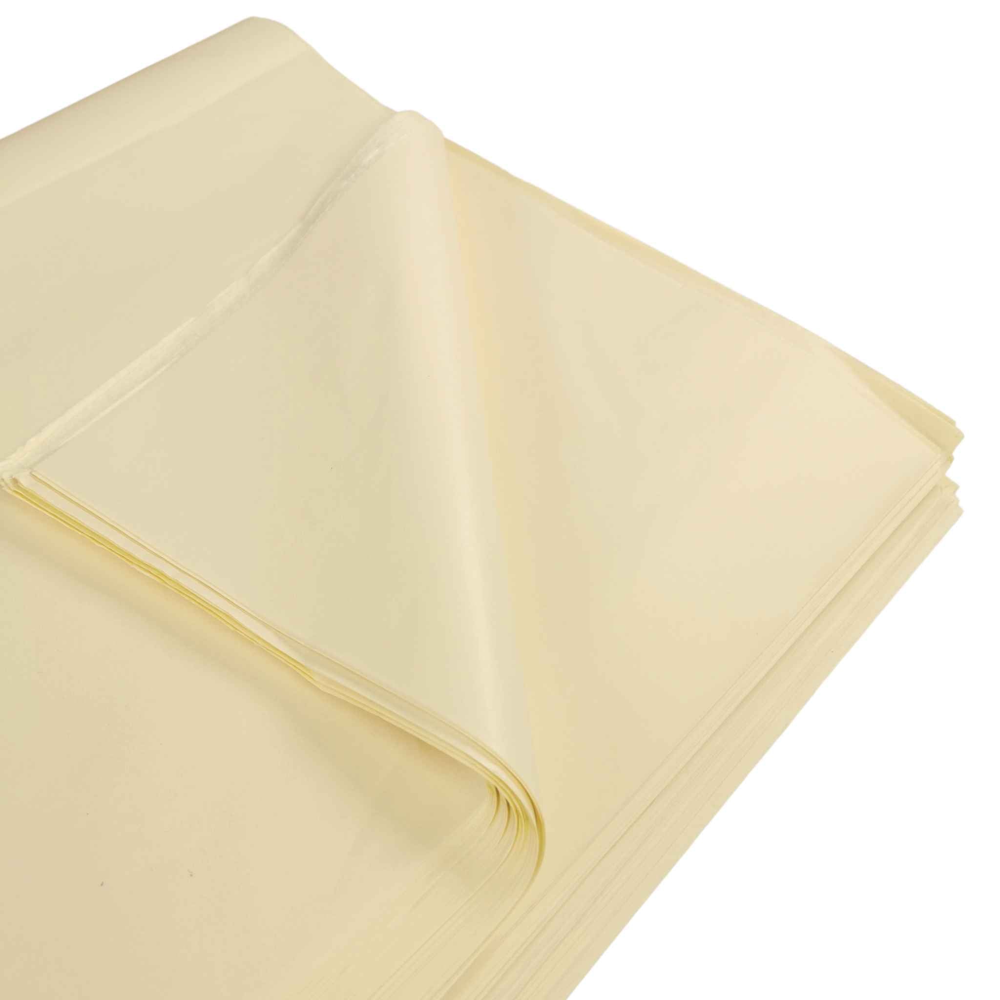carnival-papers-tissue-papier-de-soie-ivoire-70x50cm-cr-me image 2