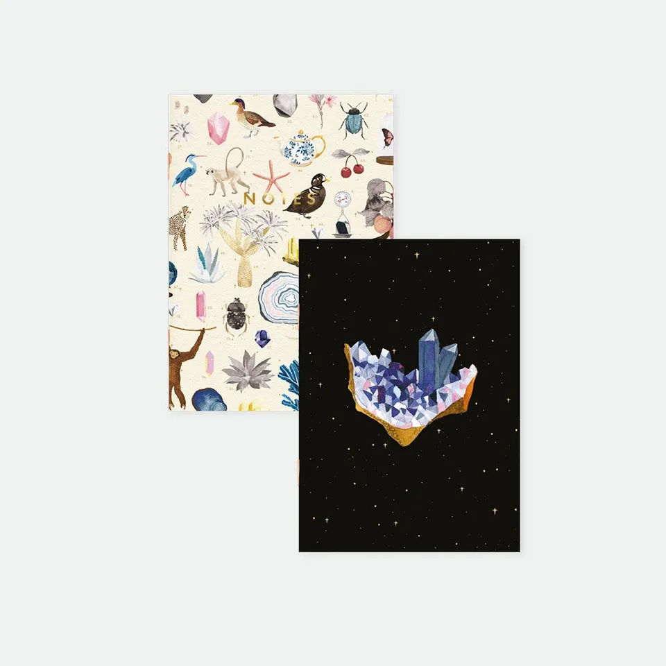 all-the-way-to-say-curiosity-duo-carnets-poche-a6 image 1