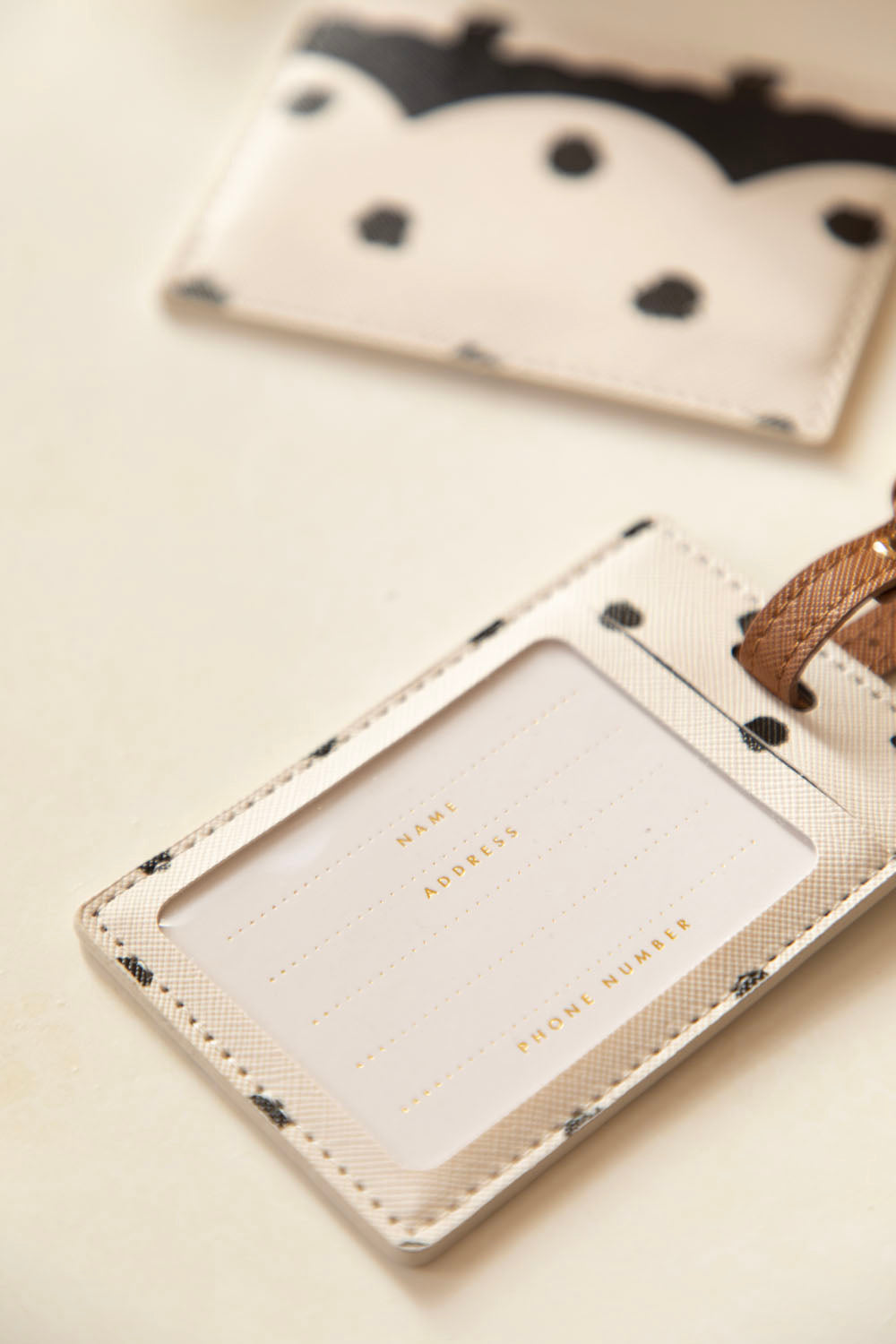 all-the-ways-to-say-painted-dots-set-voyage-passeport-pois image 3
