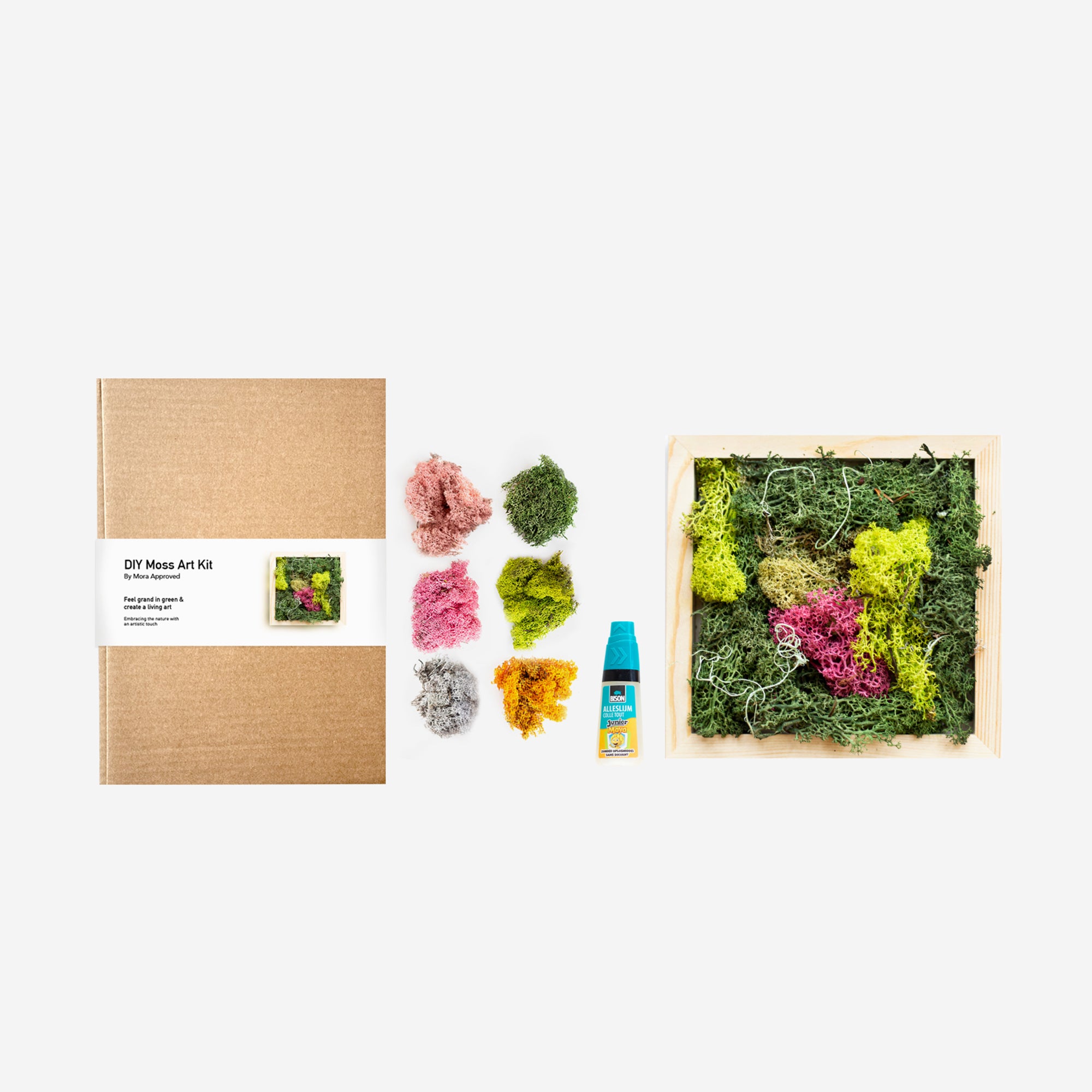 mora-approved-moss-art-kit-tableau-mousse-vegetale-20x20-cm image 3