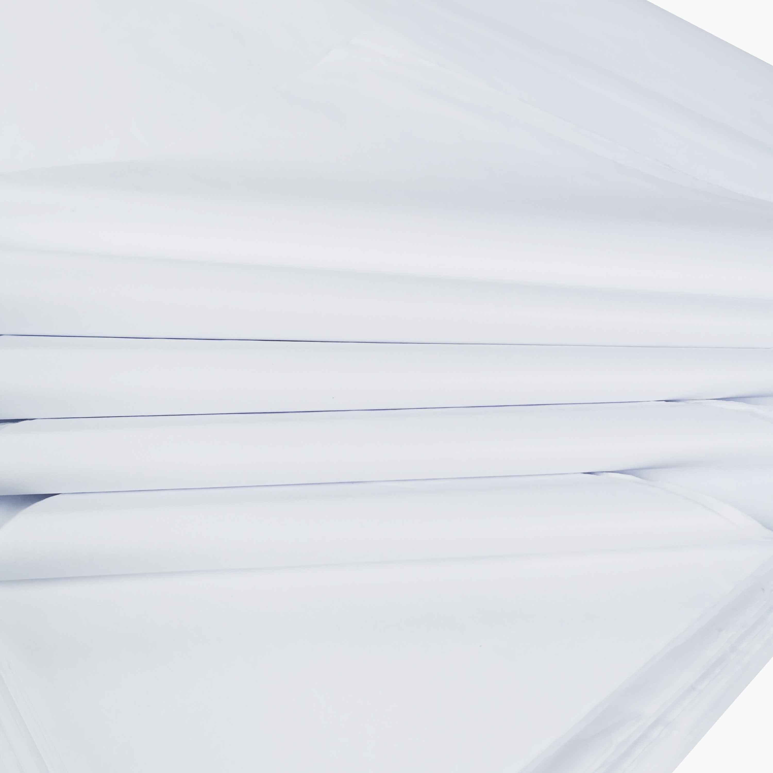 carnival-papers-tissue-papier-de-soie-blanc-10-feuilles-70x50 image 8