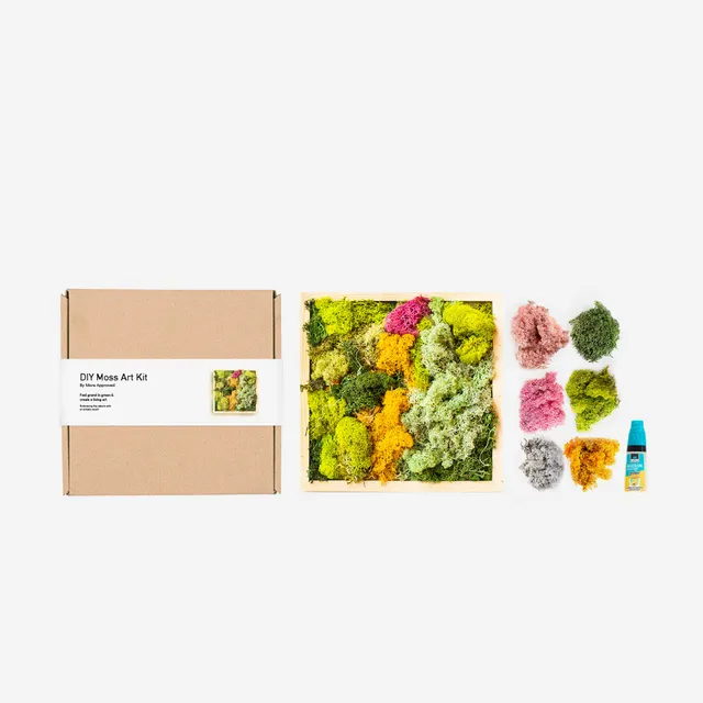 mora-approved-moss-art-kit-tableau-mousse-vegetale-20x20-cm image 1