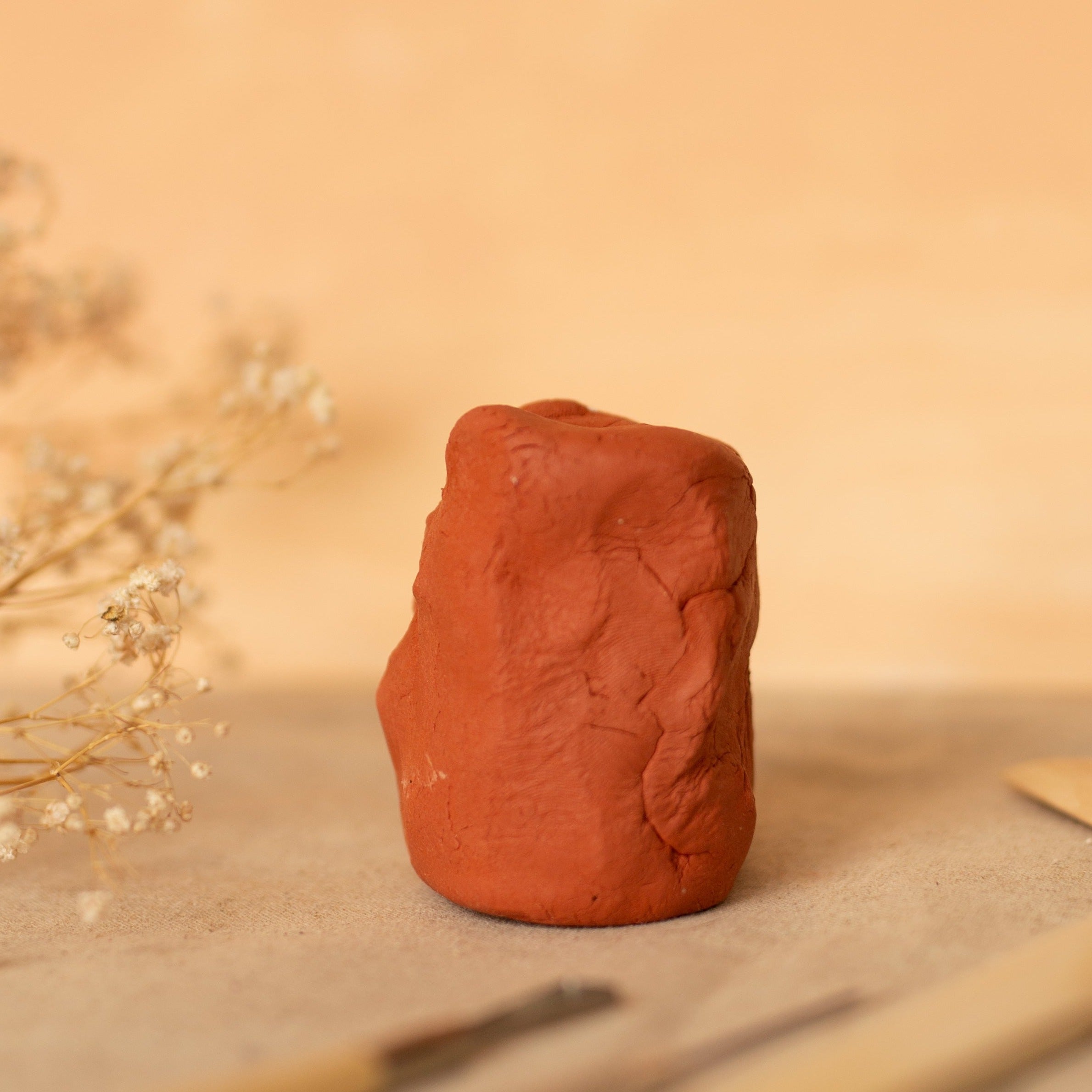 mora-approved-pottery-kit-poterie-argile-blanc-cass-500-g image 7