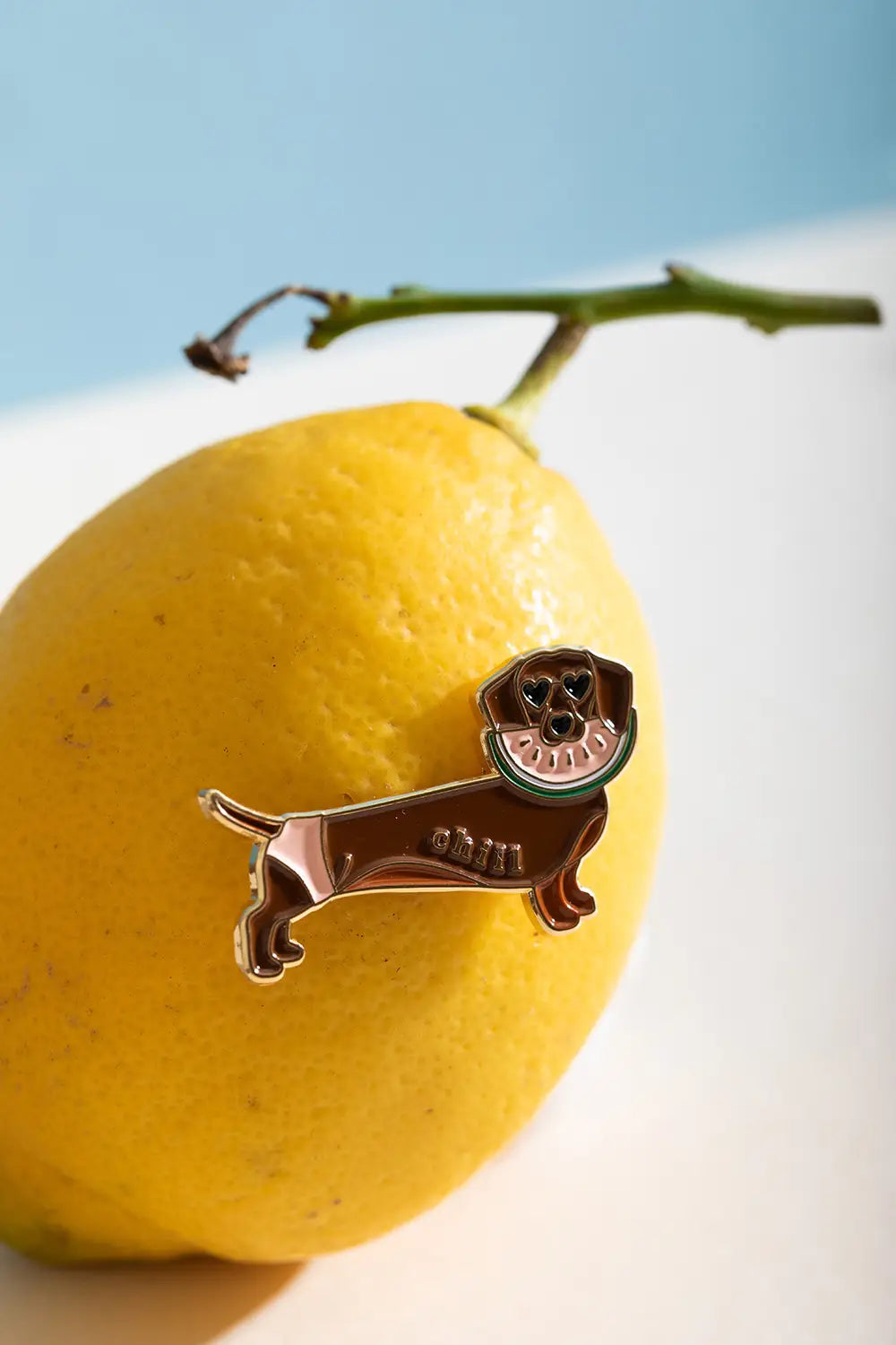 all-the-ways-to-say-chill-doggy-pin-s-teckel-mail-dor image 2