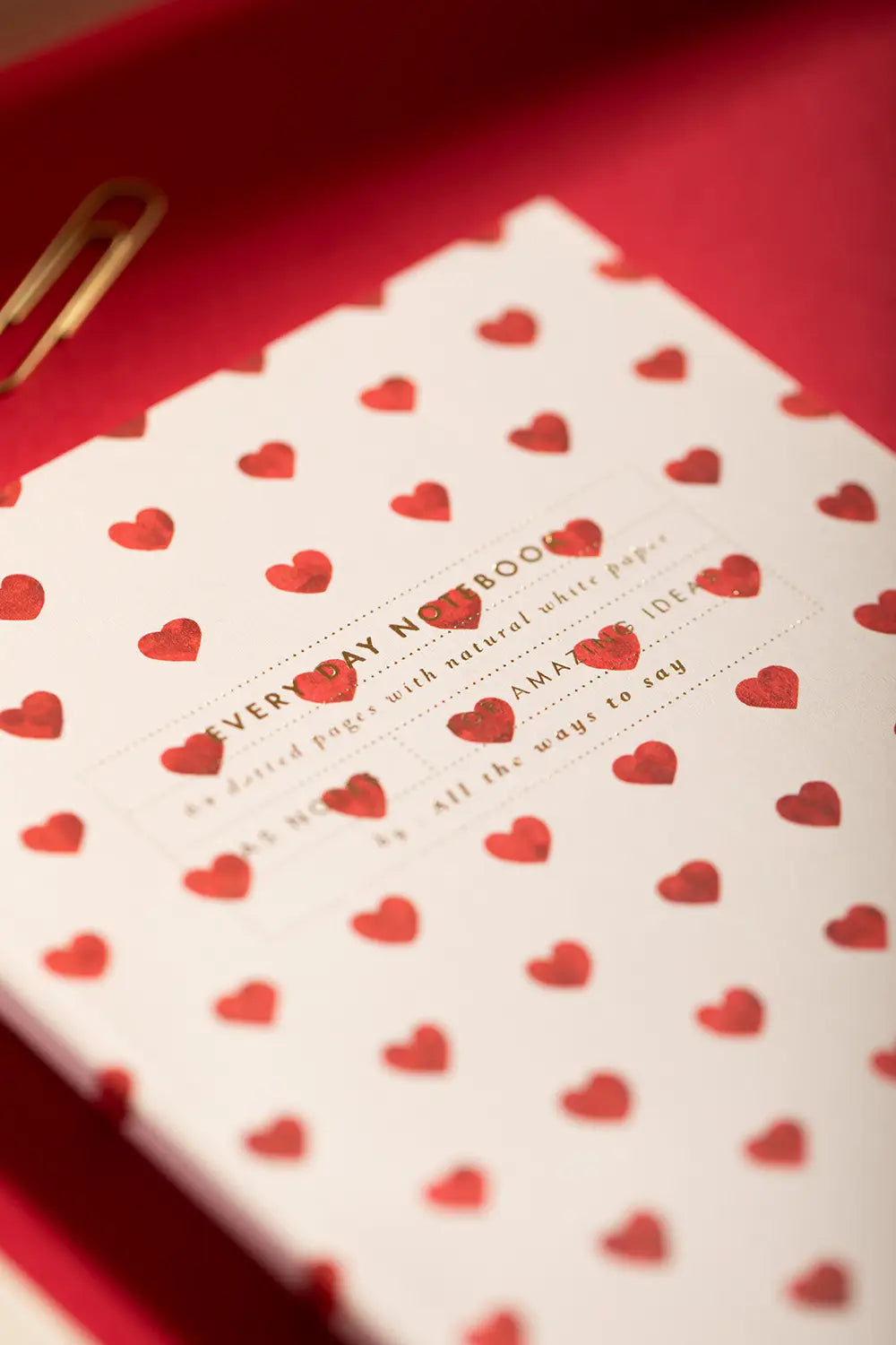 all-the-ways-to-say-new-hearts-carnet-a5-coeurs-rouges image 2