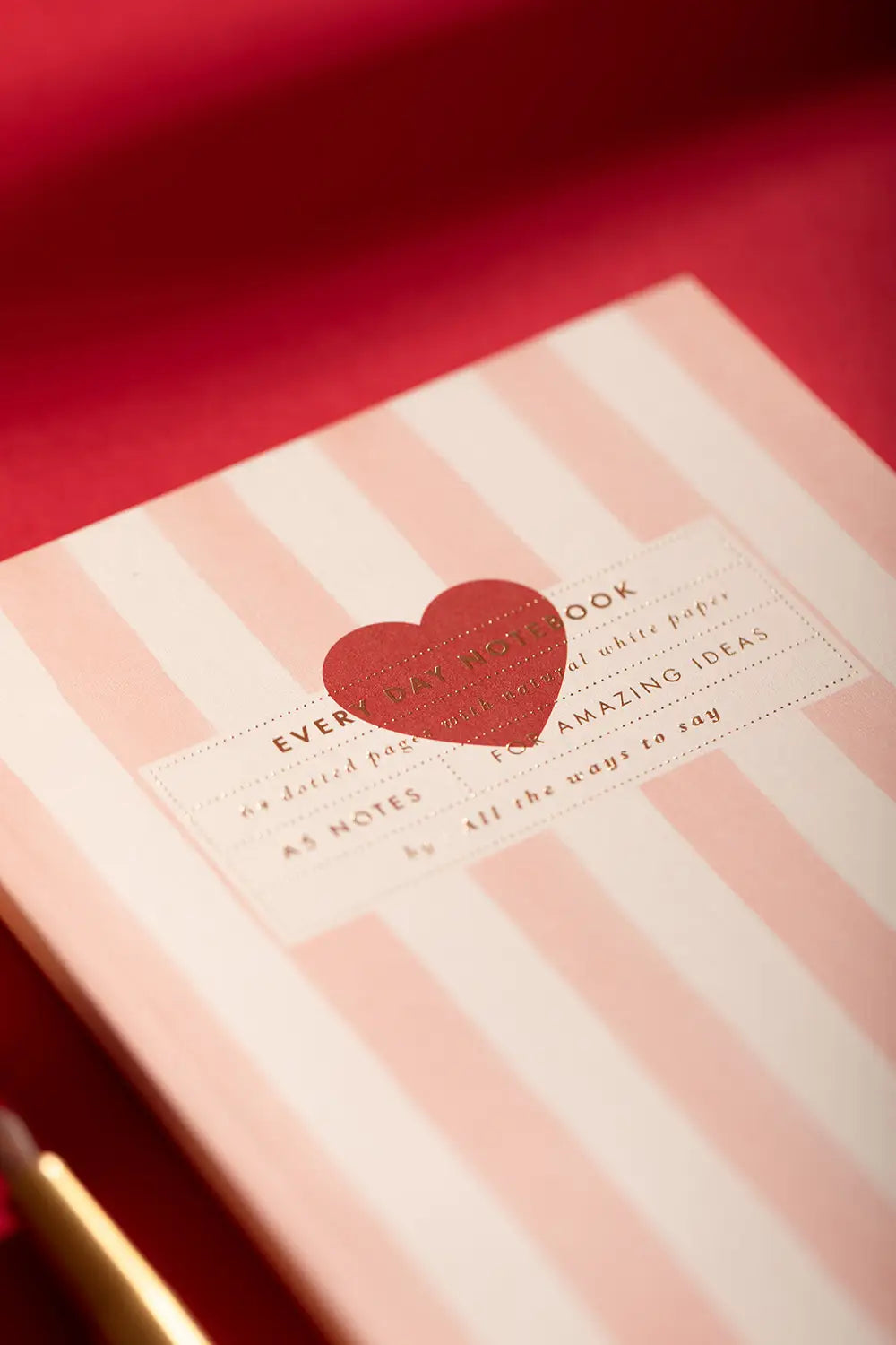 all-the-ways-to-say-pink-stripes-carnet-a5-rayures-roses image 3