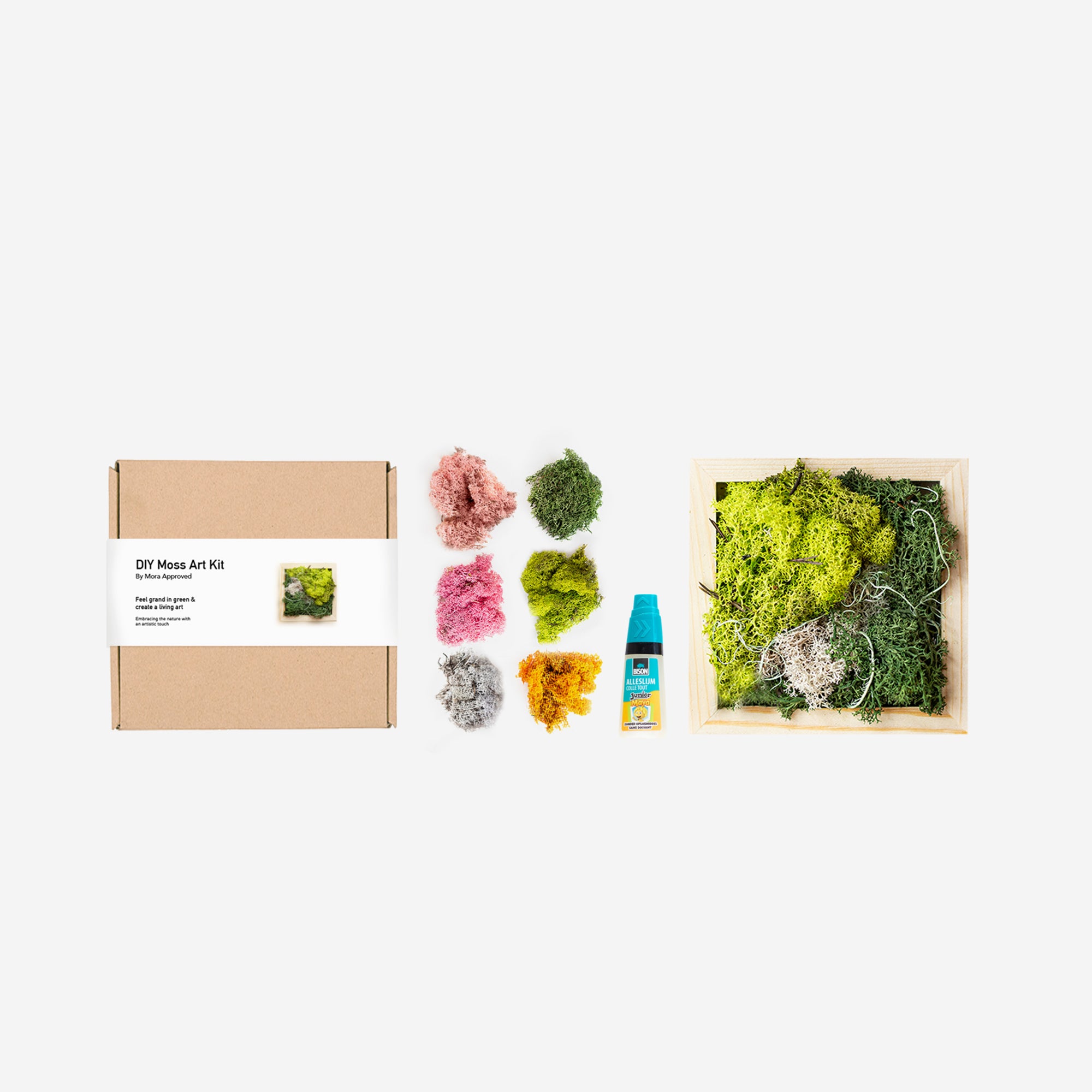 mora-approved-moss-art-kit-tableau-mousse-vegetale-20x20-cm image 2