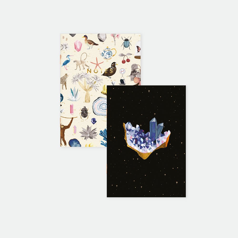all-the-way-to-say-curiosity-duo-carnets-poche-a6 image 1
