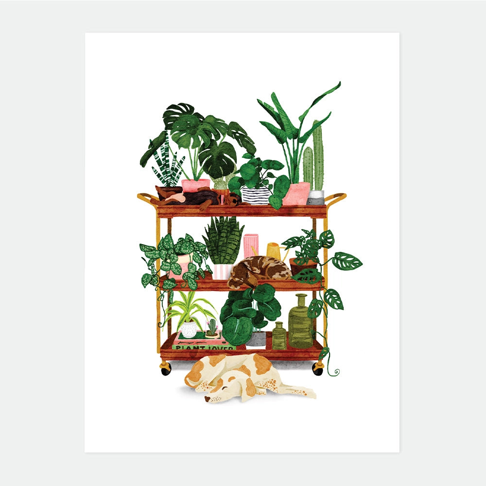 all-the-ways-to-say-plant-shelf-affiche-plantes-medium-29-7x39-7 image 1