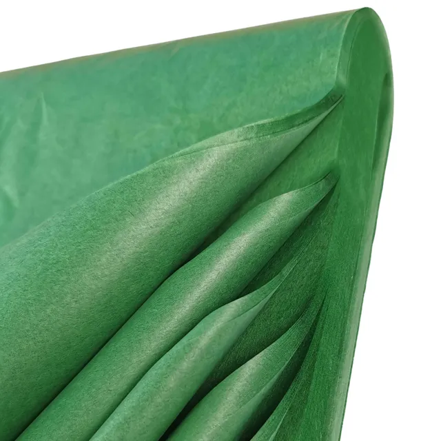 carnival-papers-tissue-papier-de-soie-vert-jade-50x70cm-10-feuilles image 1