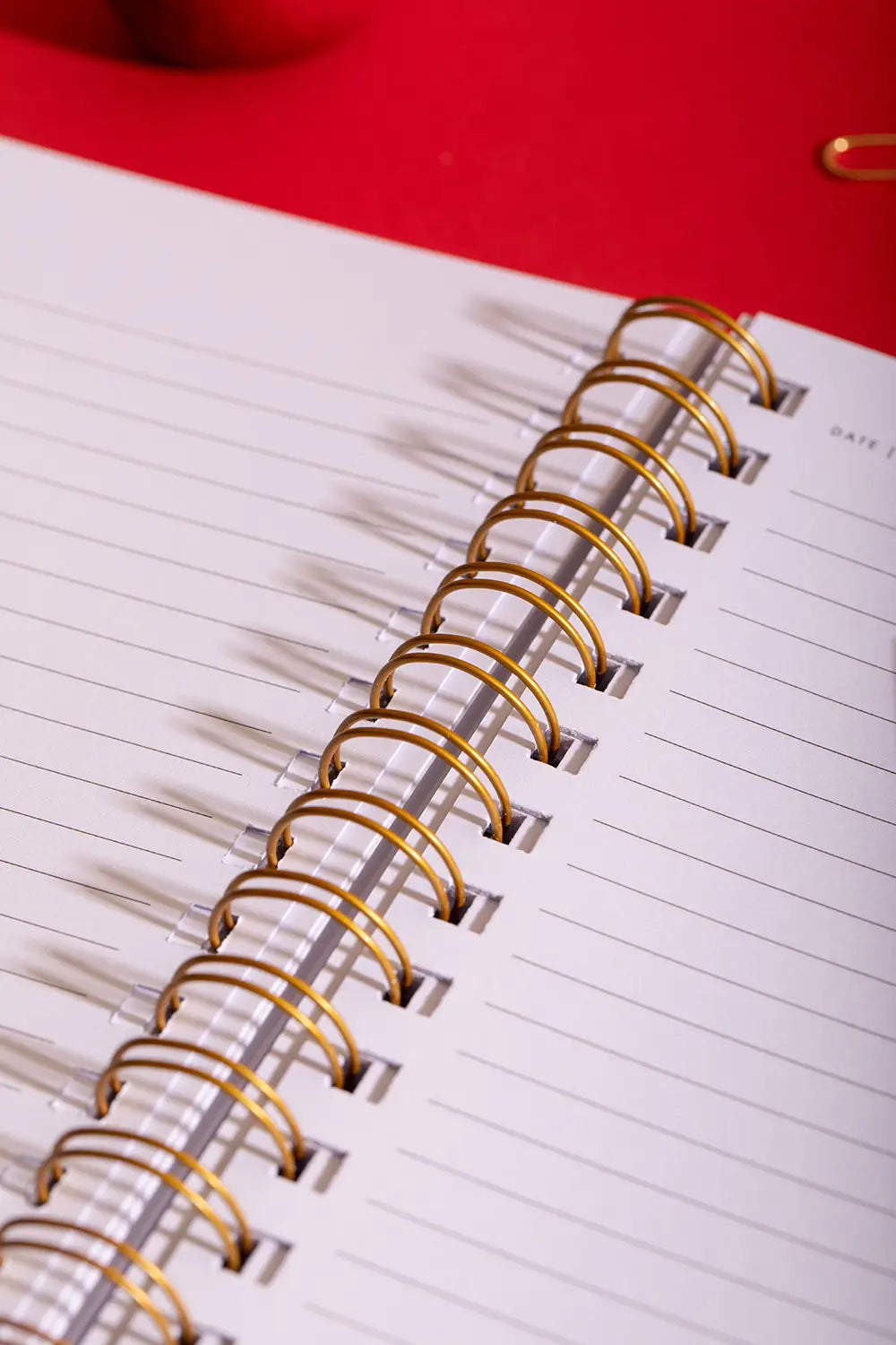 all-the-ways-to-say-heart-carnet-spirale-a5-lign-c-urs image 3