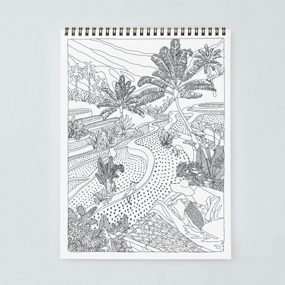 all-the-way-to-say-tome-3-livre-coloriage-cactus-a4 image 3