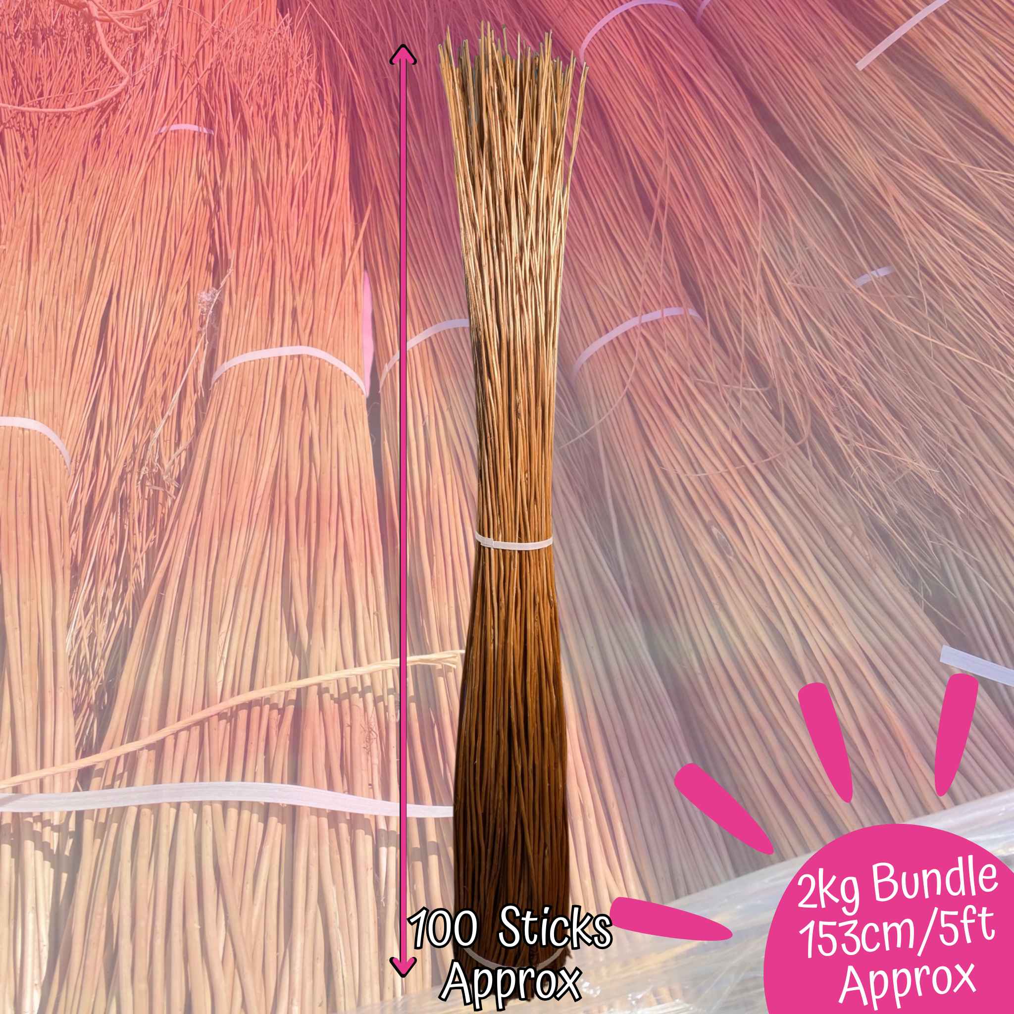 carnival-papers-willow-sticks-tige-saule-buff-2kg-couronne image 2