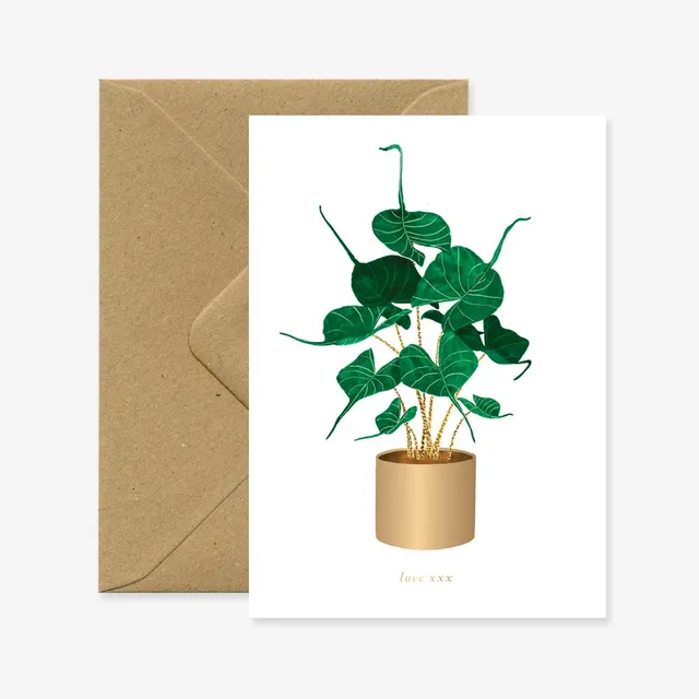 all-the-way-to-say-alocasia-carte-amiti-plante-a6 image 1