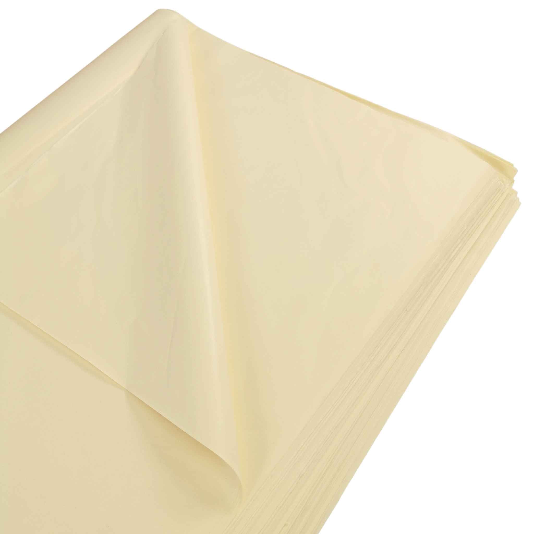 carnival-papers-tissue-papier-de-soie-ivoire-70x50cm-cr-me image 6