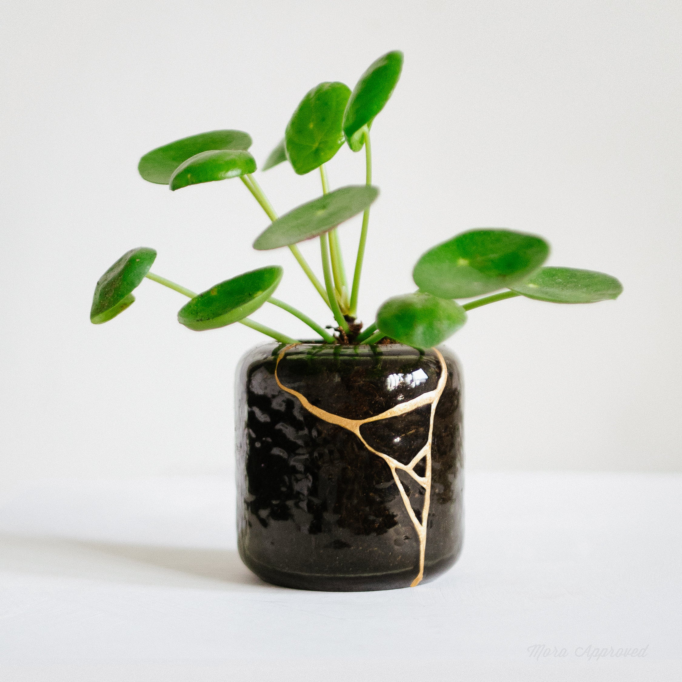 mora-approved-collection-kintsugi-kit-r-paration-or-classique image 2