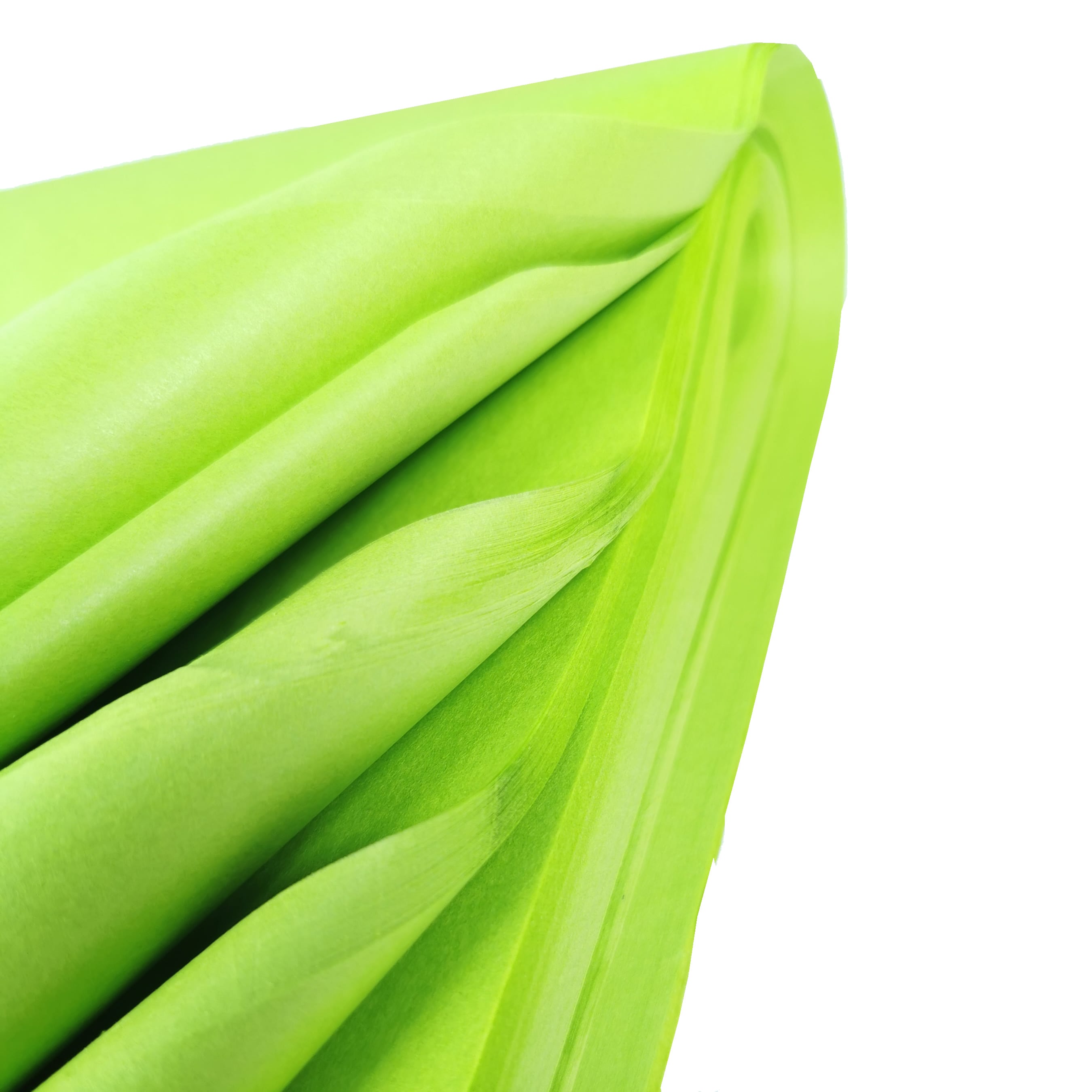 carnival-papers-tissue-paper-papier-de-soie-vert-lime-10-feuilles image 4