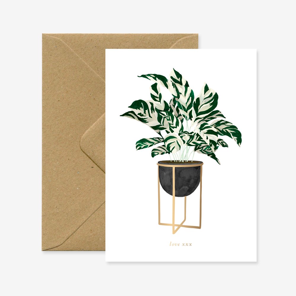 all-the-way-to-say-calathea-carte-amiti-botanique-a6 image 1