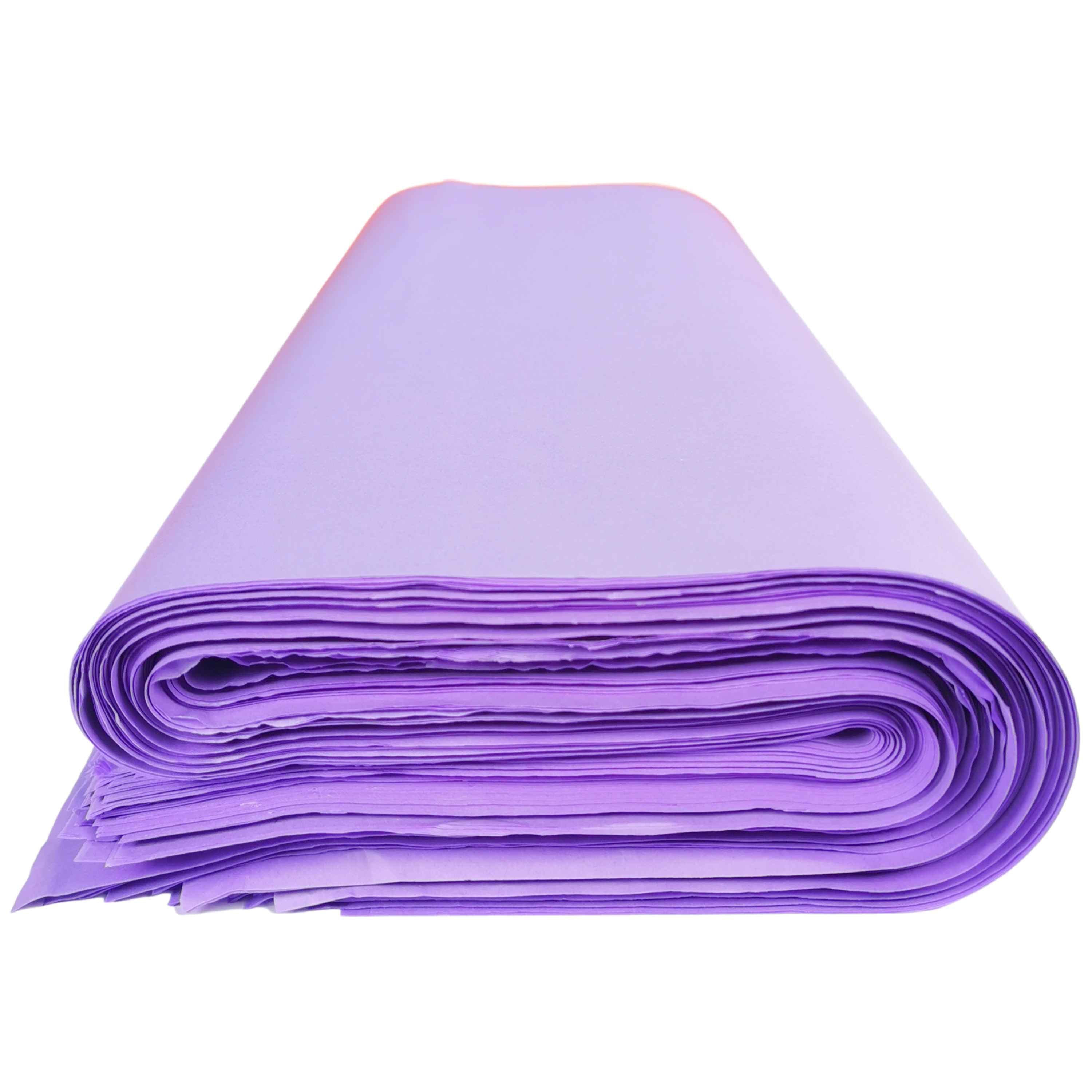 carnival-papers-tissue-papier-de-soie-lilas-violet-clair-10-feuilles image 7