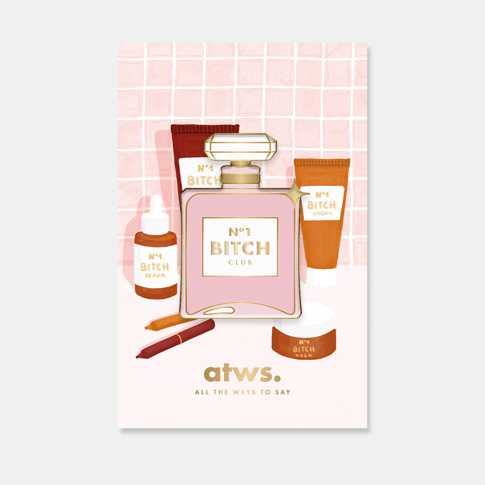 all-the-ways-to-say-n-1-bitch-pin-s-flacon-dor image 1