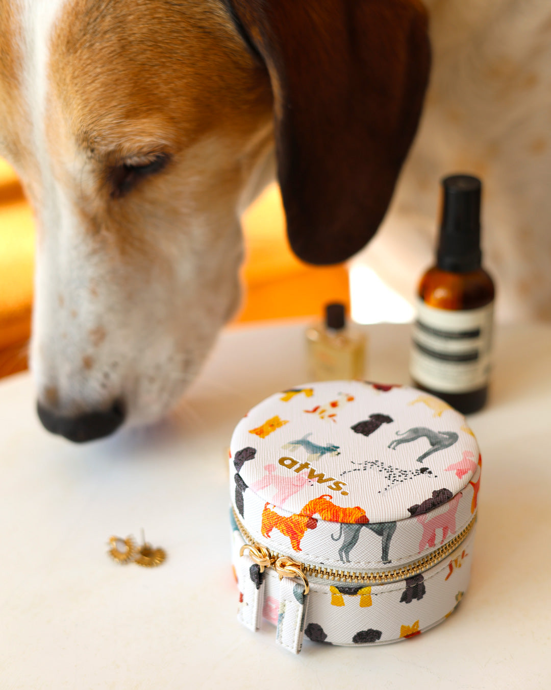 all-the-ways-to-say-dogs-bo-te-bijoux-cuir-chiens-ronde image 6