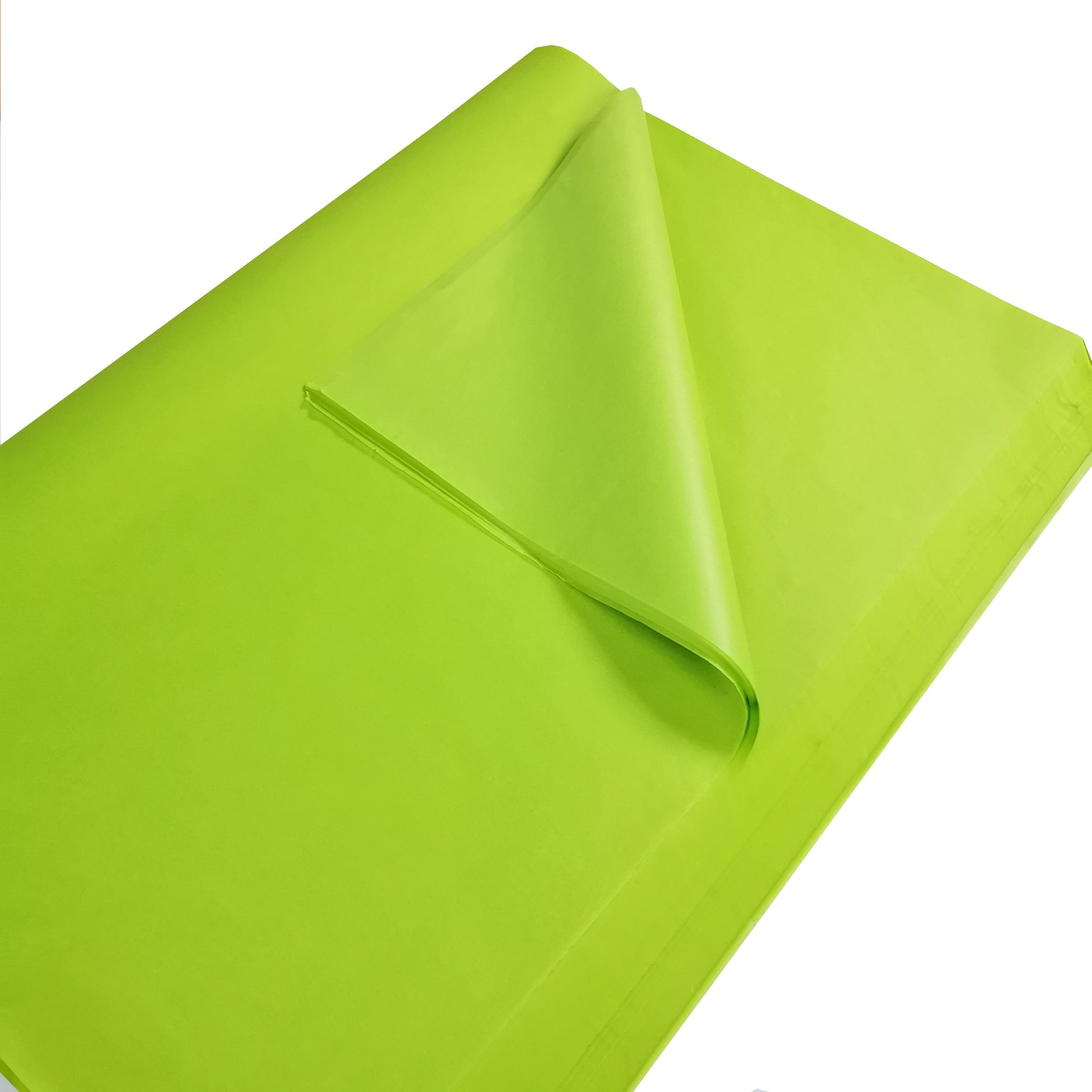 carnival-papers-tissue-paper-papier-de-soie-vert-lime-10-feuilles image 5
