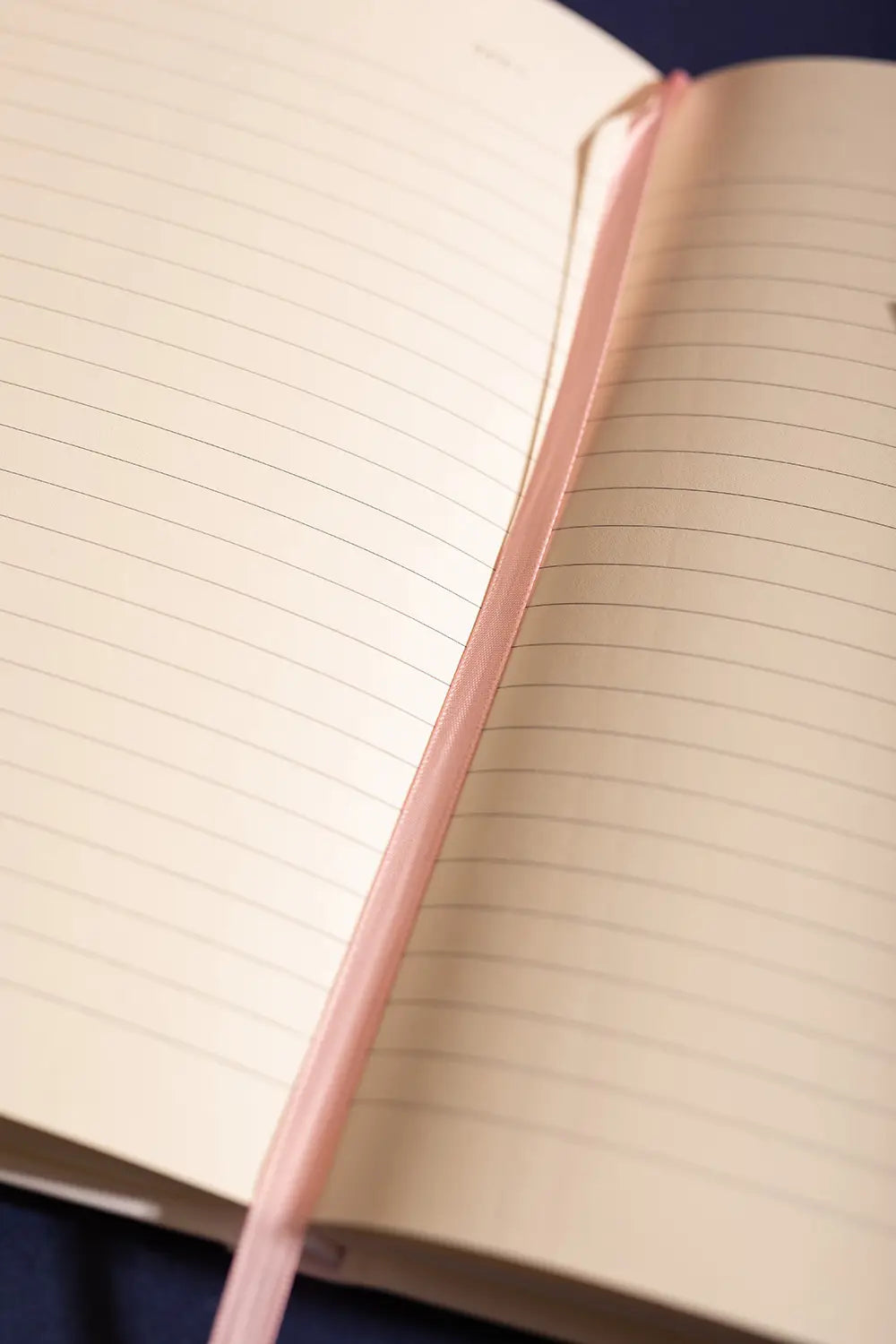 all-the-way-to-say-dogue-carnet-rigide-a5-chiens-lign image 5