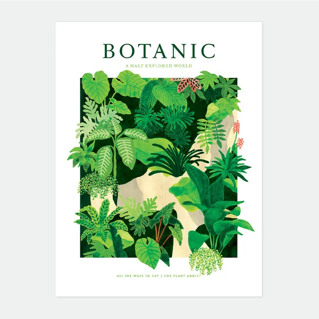 all-the-ways-to-say-botanic-world-affiche-plantes-3-tailles image 1