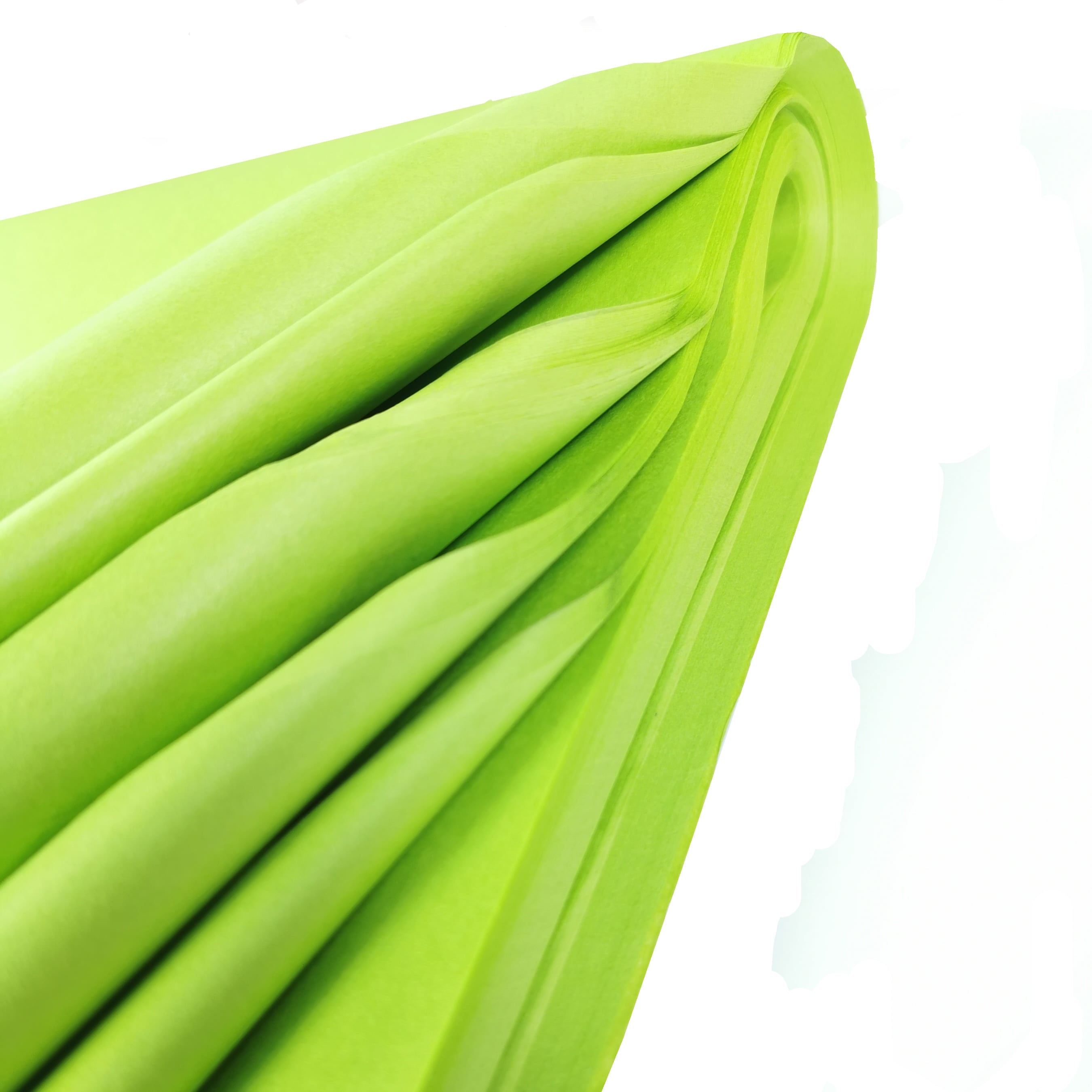 carnival-papers-tissue-paper-papier-de-soie-vert-lime-10-feuilles image 6