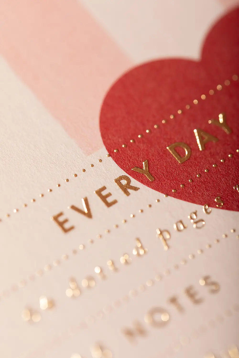 all-the-ways-to-say-pink-stripes-carnet-a5-rayures-roses image 2