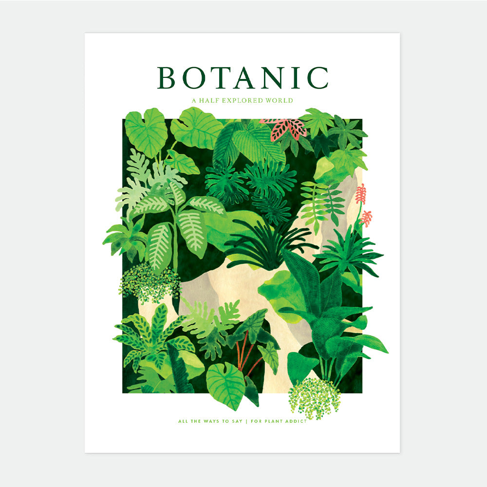 all-the-ways-to-say-botanic-world-affiche-plantes-3-tailles image 1