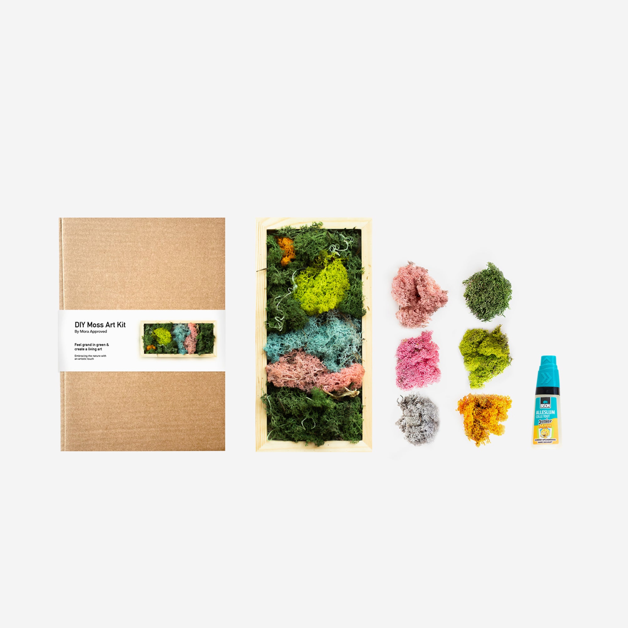 mora-approved-moss-art-kit-tableau-mousse-vegetale-20x20-cm image 4