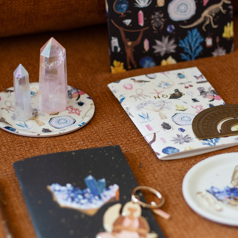 all-the-way-to-say-curiosity-duo-carnets-poche-a6 image 2
