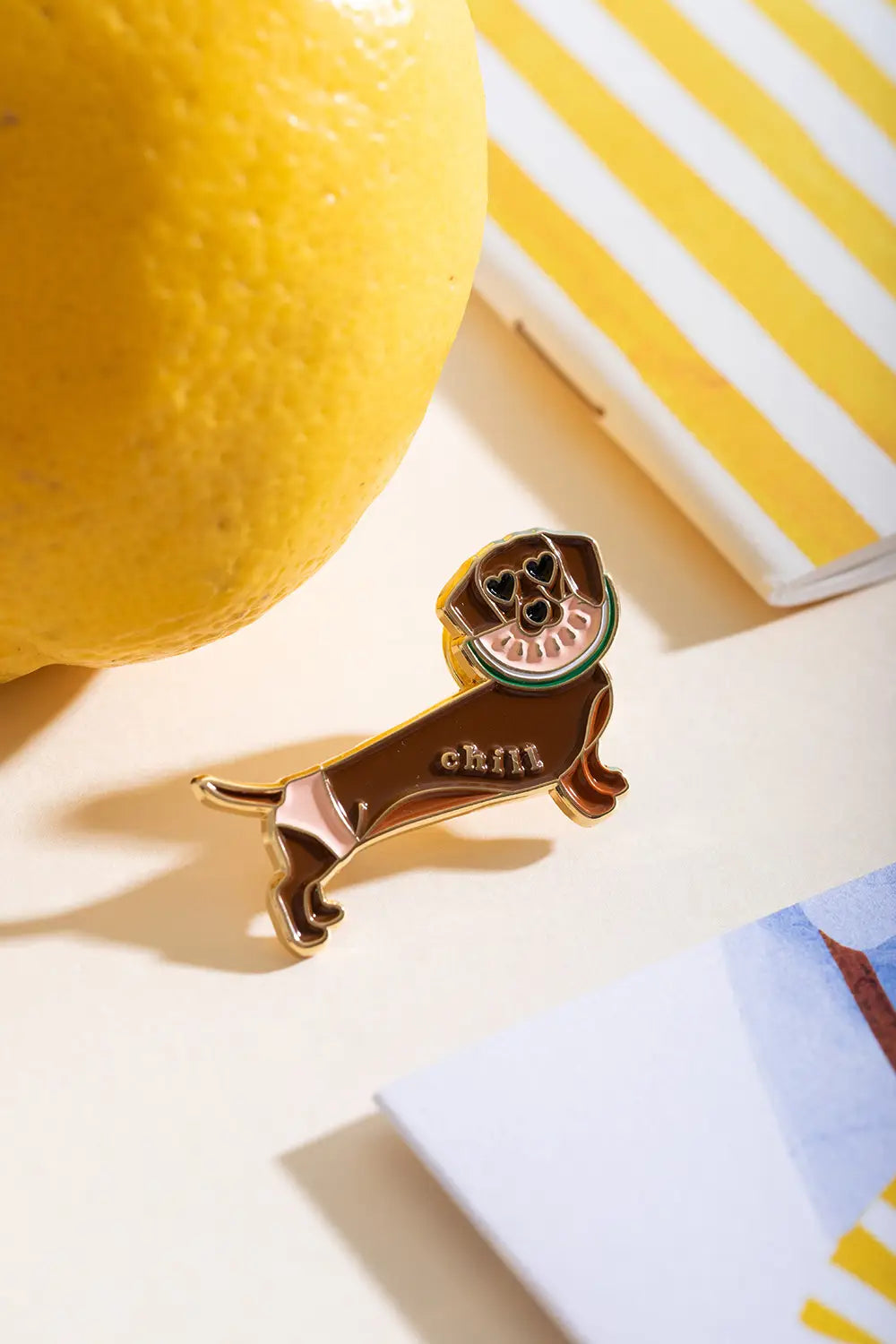 all-the-ways-to-say-chill-doggy-pin-s-teckel-mail-dor image 4