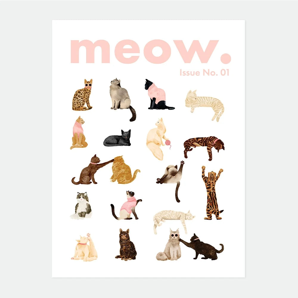 all-the-ways-to-say-meow-issue-affiche-50x70-cm-chats-roses image 1