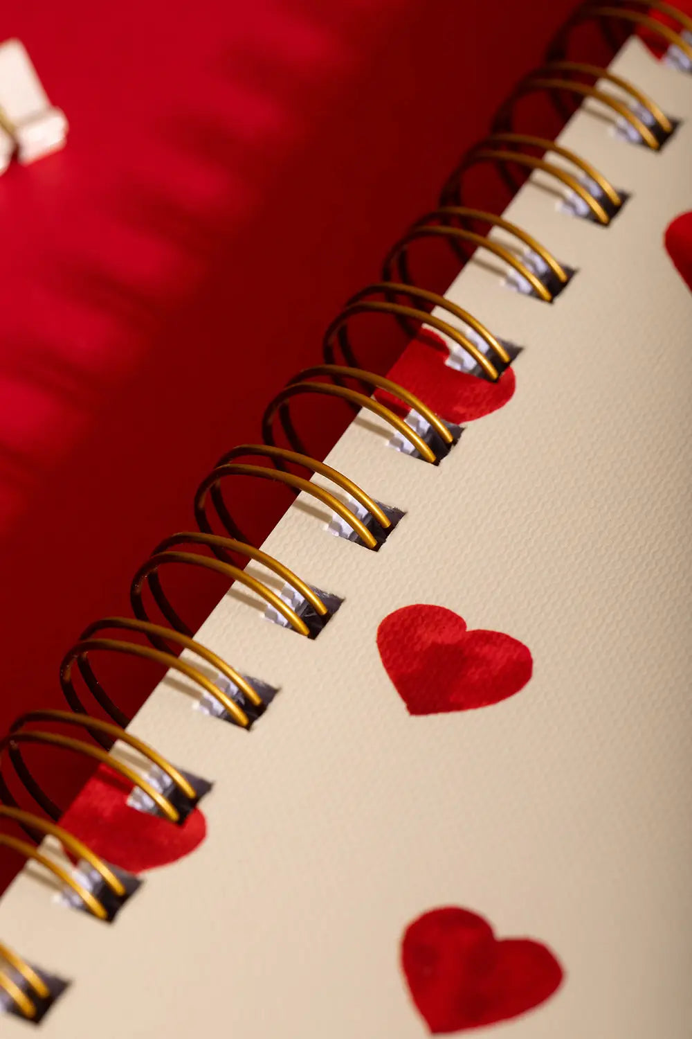 all-the-ways-to-say-heart-carnet-spirale-a5-lign-c-urs image 2